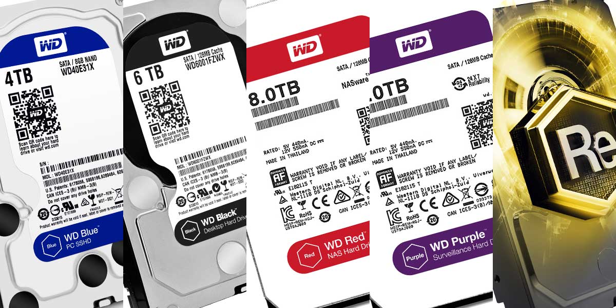 Understanding The Differences Between WD HDD Colors