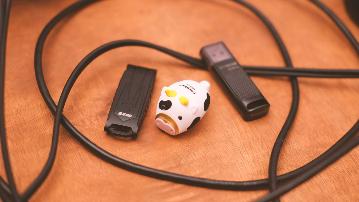 64GB Kingston Mini Cow Images 7