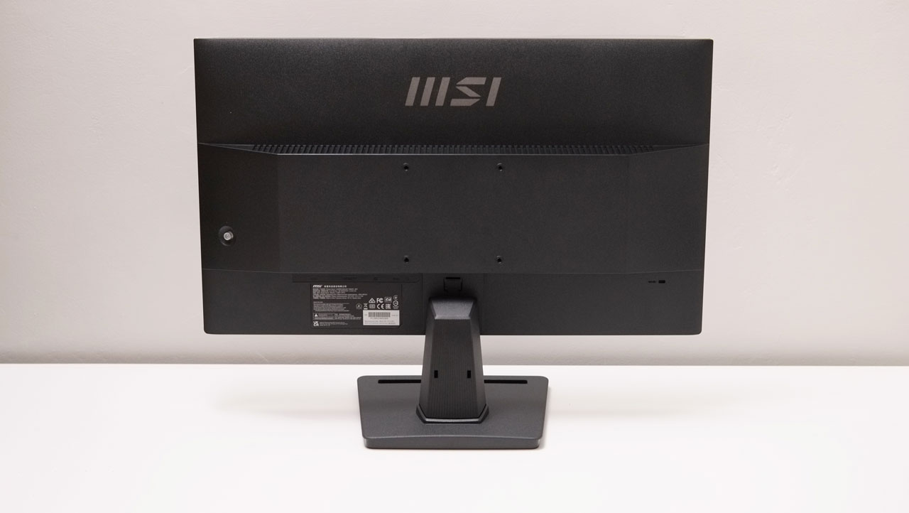 MSI PRO MP251 Monitor Review