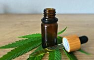 Making Sense of CBD Regulations: Your Guide to Knowing the Rules