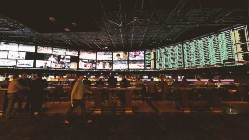 differences between online casinos sportsbooks gp