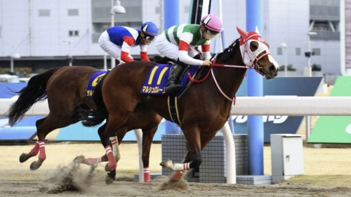 top 5 best horse race betting review sites 2022gp 1